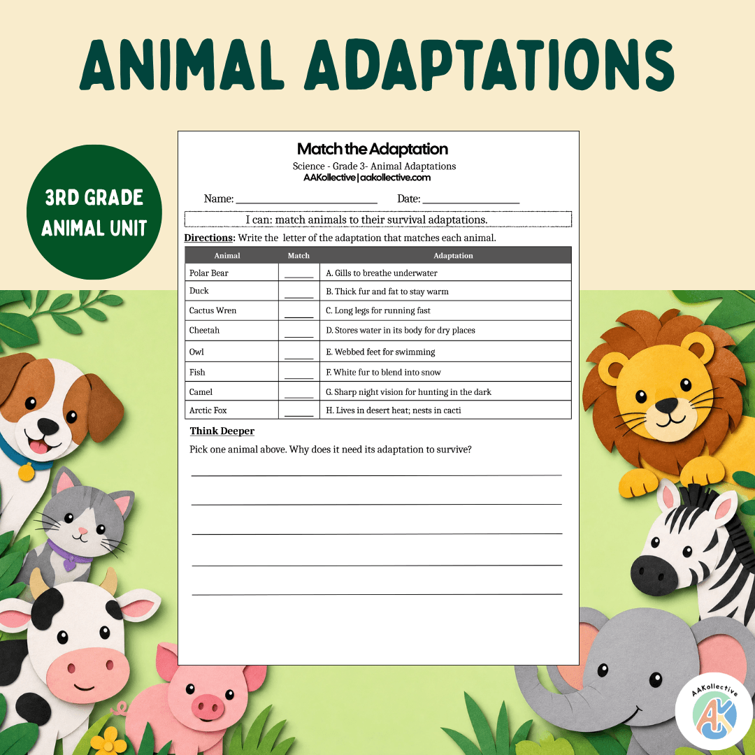Animal Adaptations Worksheet 3rd Grade | Science Matching Activity
