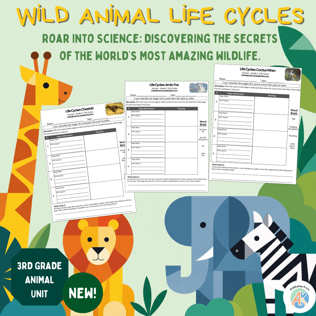 Wild Animal Life Cycles: 3rd Grade Science Activity Bundle - Product preview